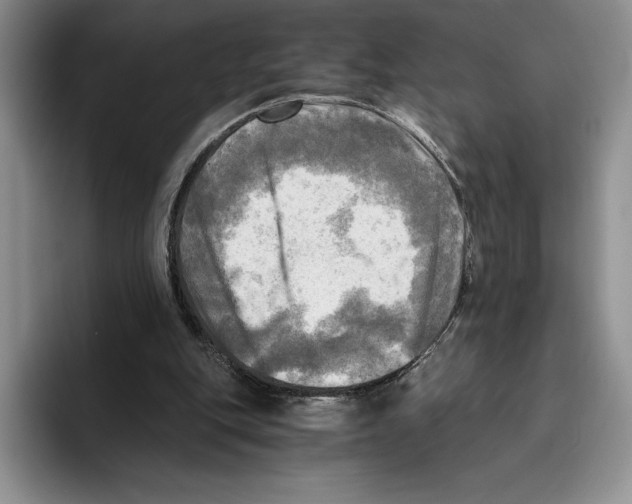 X0000096220151200802151529