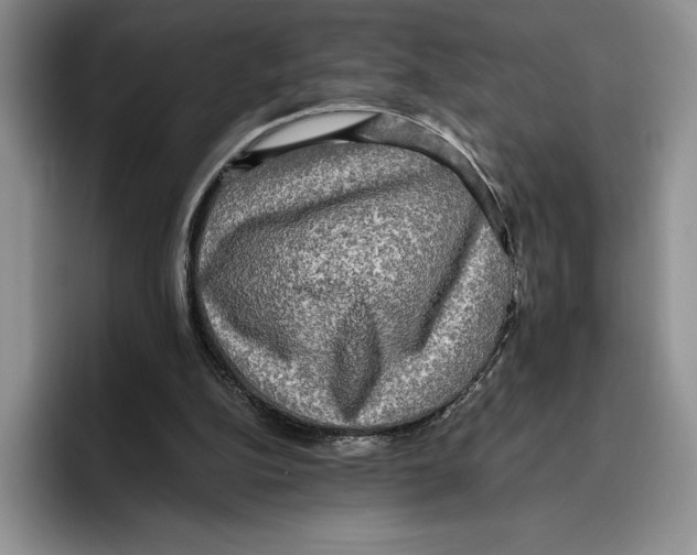 X0000096220152200802151529