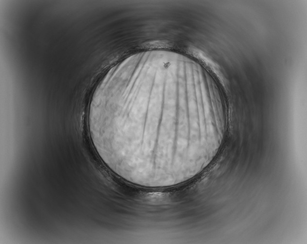 X0000096220153200802151529