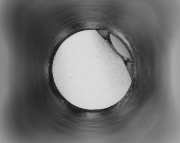 X0000096220154200802151529