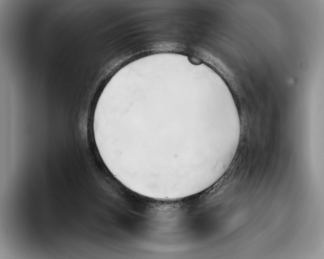 X0000096220155200802151529