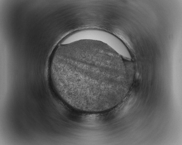 X0000096220156200802151529