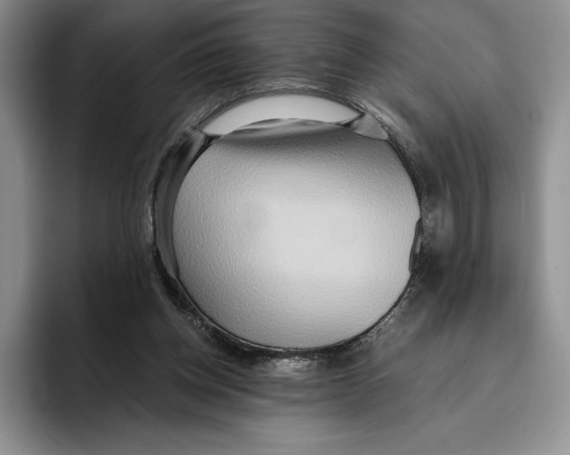 X0000096220158200802151529