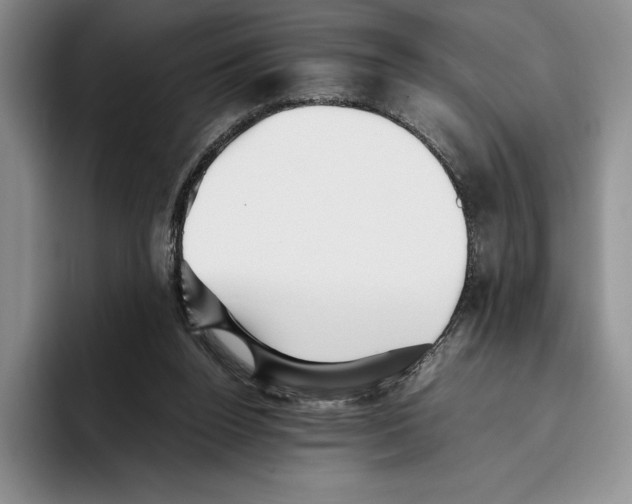 X0000096220160200802151529