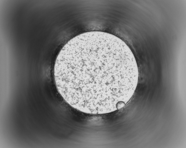 X0000096220162200802151529