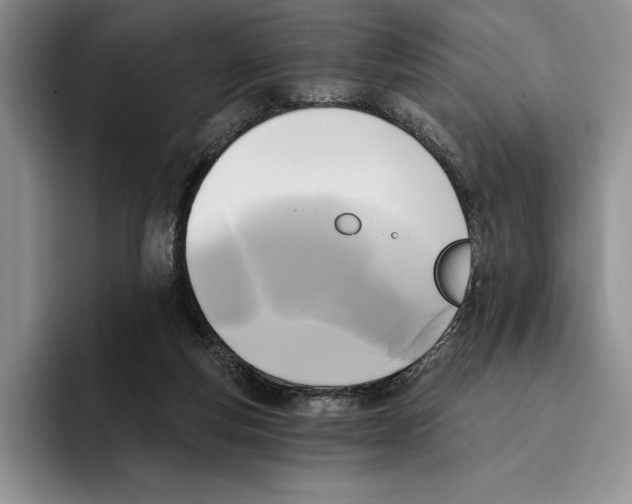 X0000096220163200802151529