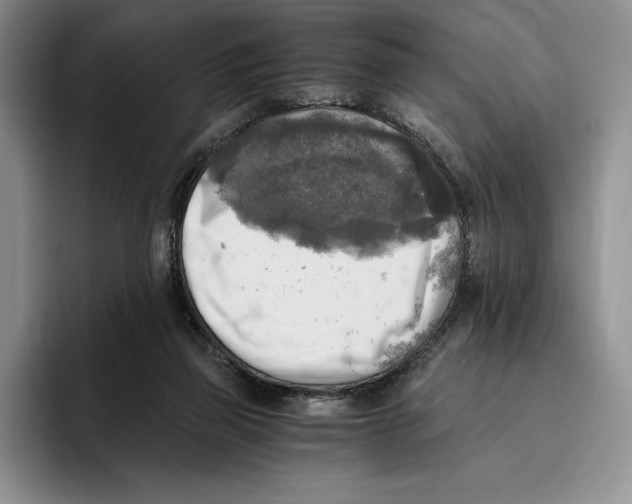 X0000096220165200802151529