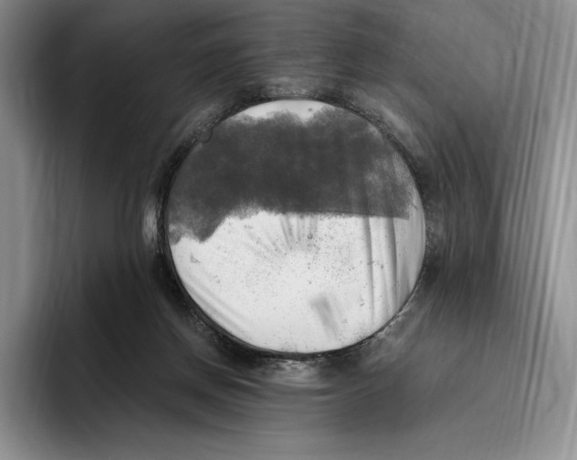 X0000096220166200802151529