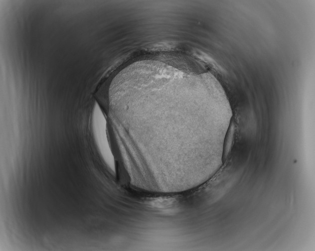 X0000096220168200802151529