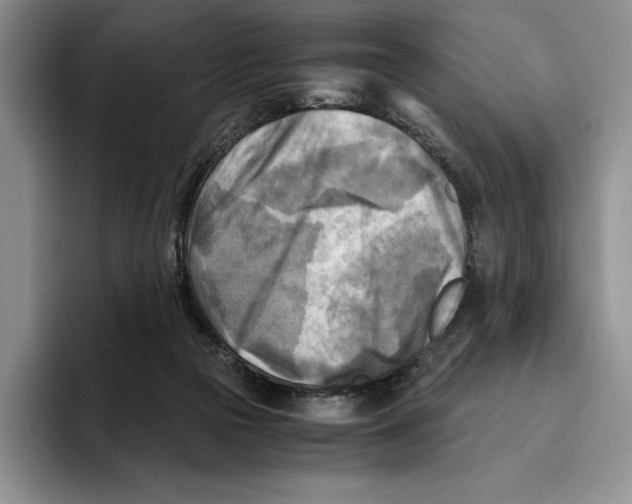 X0000096220169200802151529