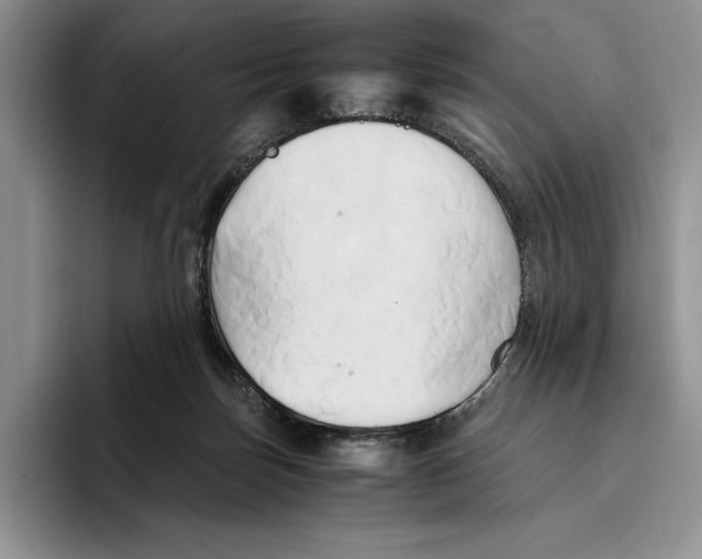 X0000096220171200802151529