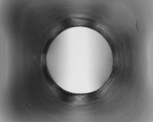 X0000096220172200802151529