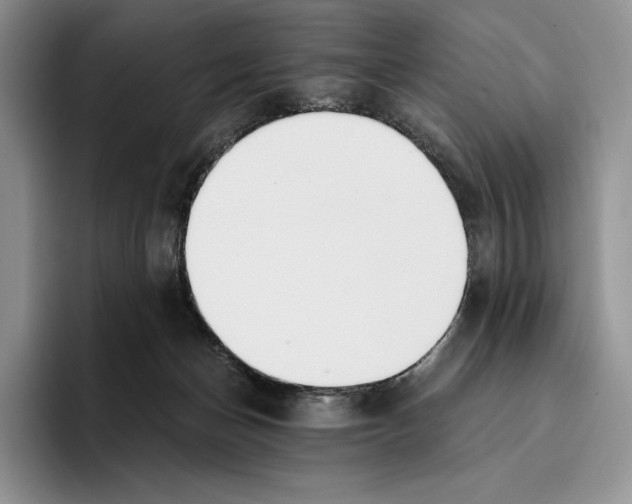 X0000096220174200802151529