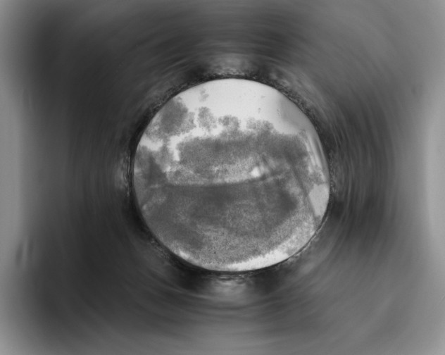 X0000096220175200802151529