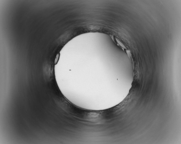 X0000096220176200802151529