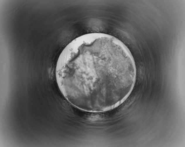 X0000096220177200802151529