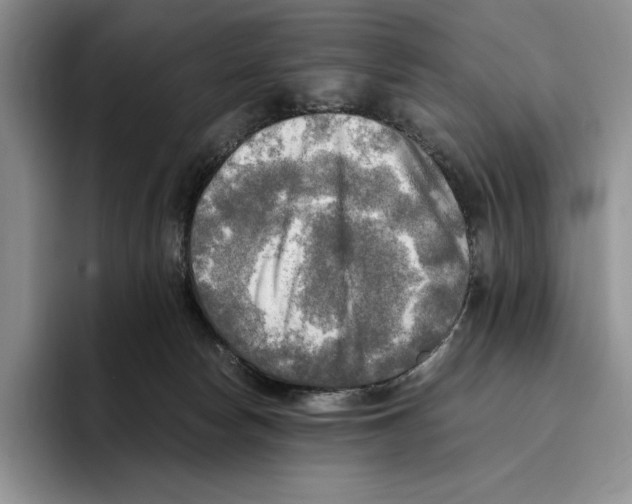 X0000096220178200802151529