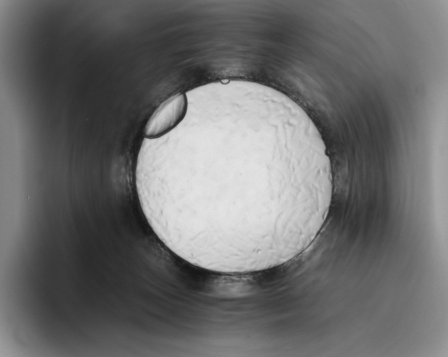 X0000096220179200802151529