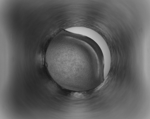 X0000096220180200802151529