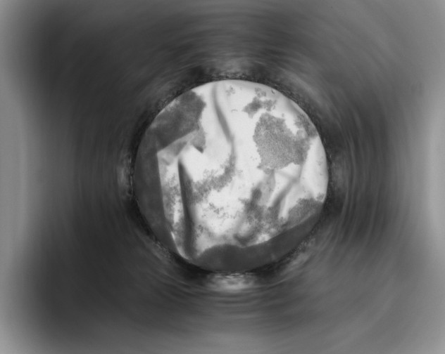 X0000096220181200802151529