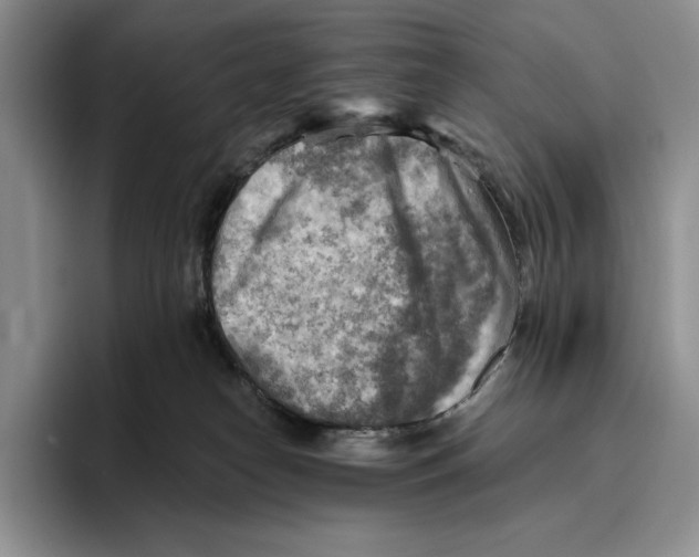 X0000096220182200802151529