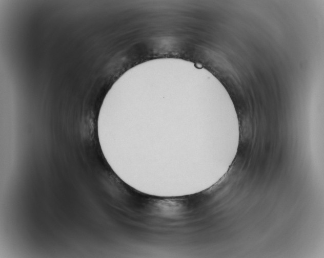 X0000096220183200802151529