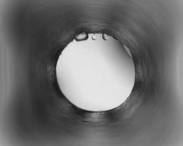 X0000096220184200802151529