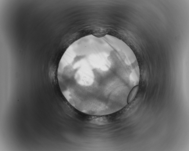 X0000096220185200802151529