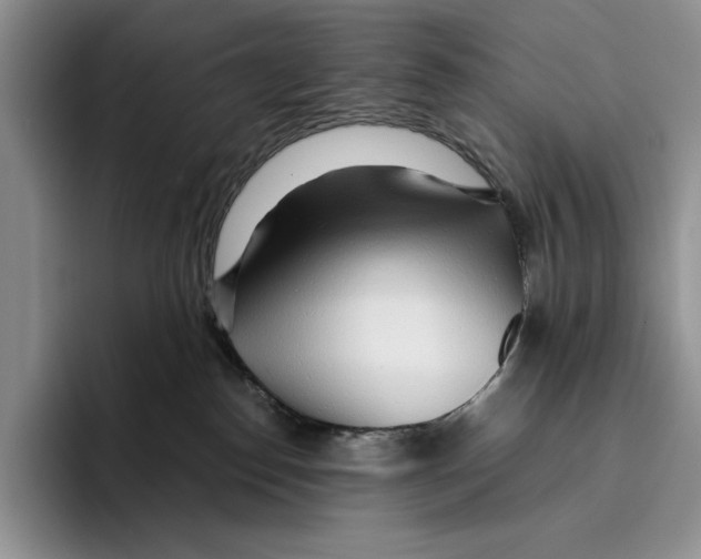 X0000096220186200802151529