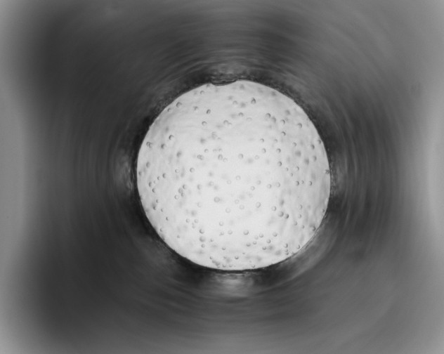 X0000096220187200802151529