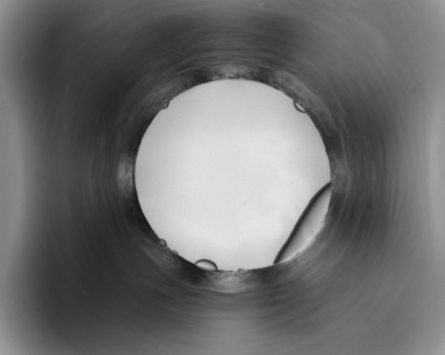 X0000096220191200802151530