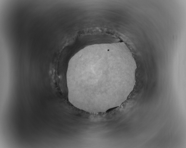 X0000096220192200802151530