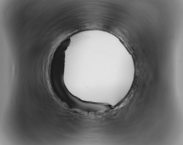 X0000096220193200802151529