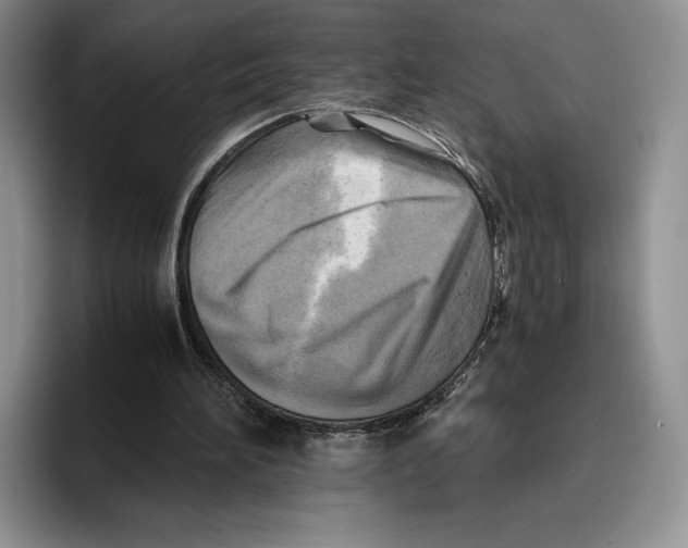 X0000096220196200802151529