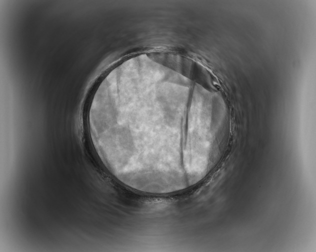 X0000096220198200802151529