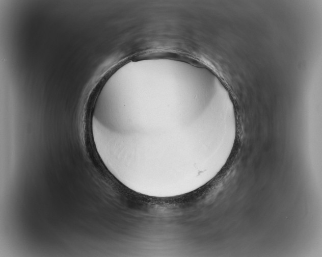 X0000096220199200802151529