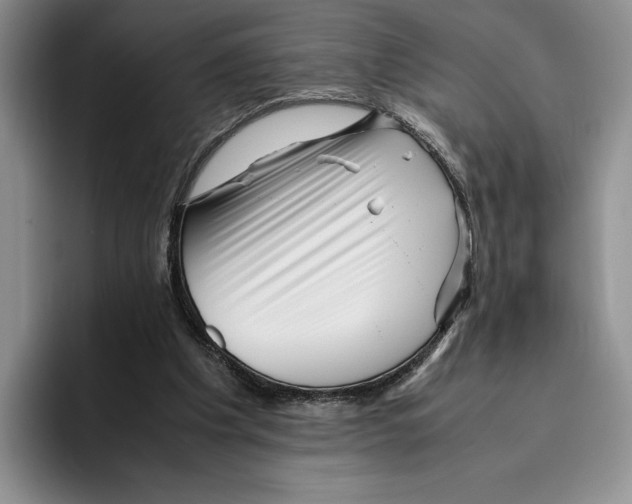 X0000096220201200802151529