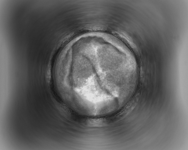 X0000096220202200802151529