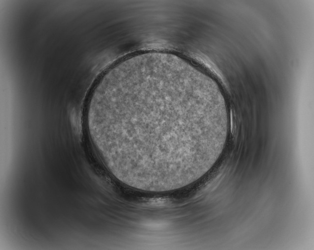 X0000096220204200802151529