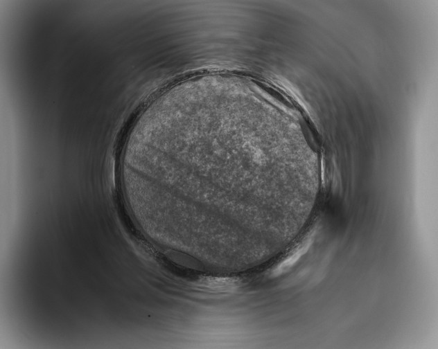 X0000096220205200802151529