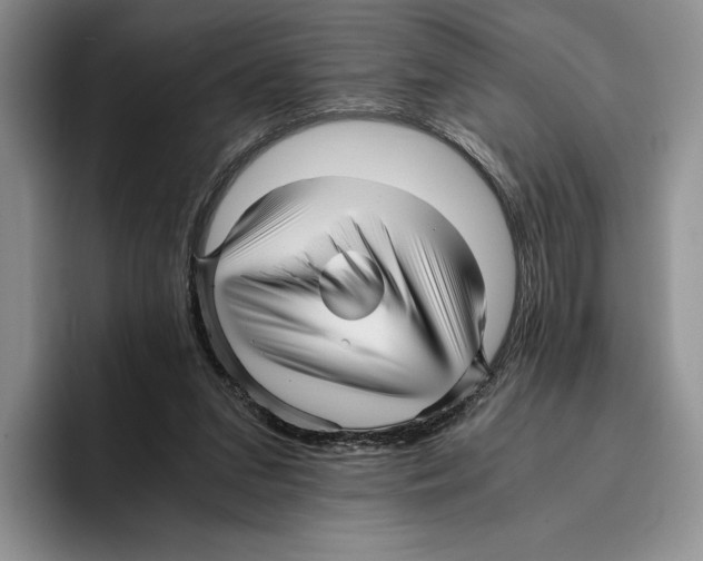 X0000096220207200802151529