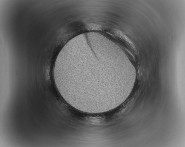 X0000096220209200802151529