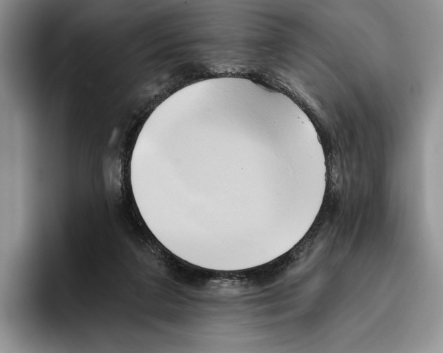 X0000096220211200802151529