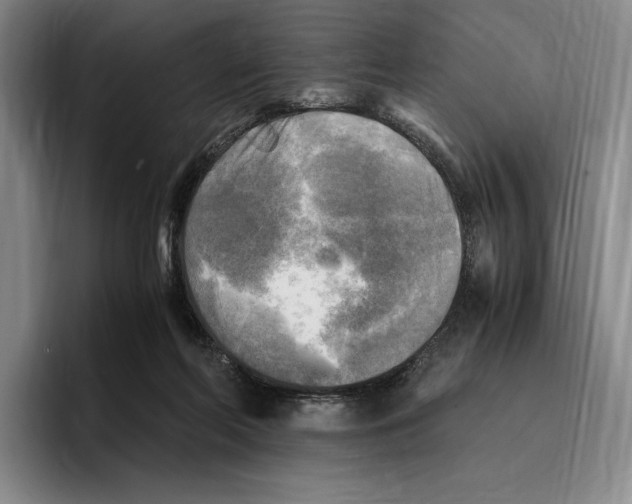 X0000096220214200802151529