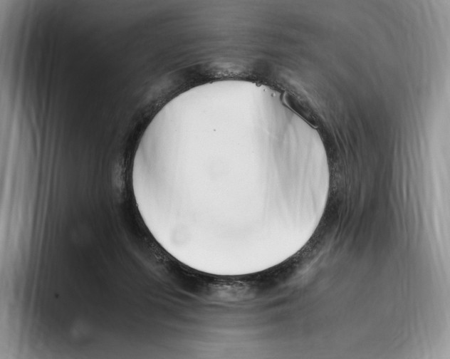 X0000096220215200802151529