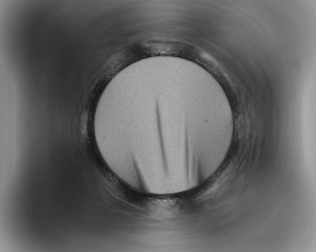 X0000096220217200802151529