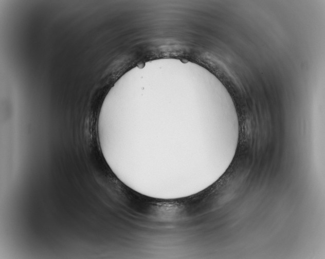 X0000096220218200802151529