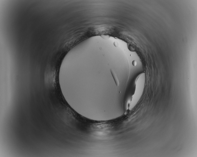 X0000096220219200802151529