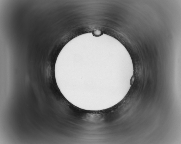 X0000096220220200802151529