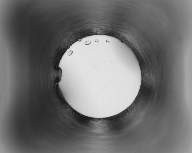 X0000096220221200802151529